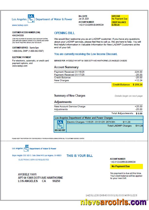 USA LA DWP utility bill, version 2
